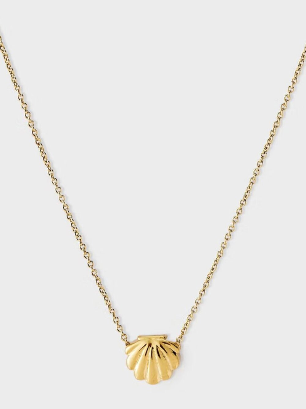 Tiny Tags 14K Gold Ion Plated Sea Shell Necklace - Gold